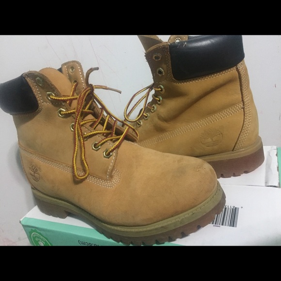 Timberlands - Picture 2 of 4